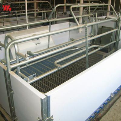 China Farms factory direct sale new design pig farm crate equipment for sale