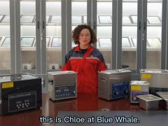 Blue Whale Tabletop Ultrasonic Cleaner