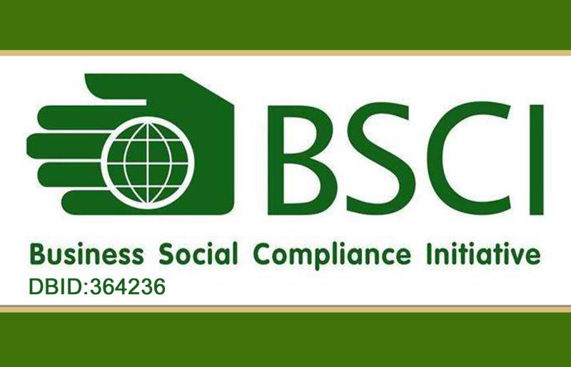 BSCI - Bamboo Forever Co., Ltd.