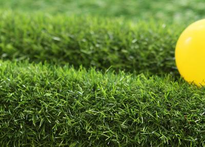 China 20mm Ever Green Garden Fake Grass Synthetic Turf For Dogs for sale