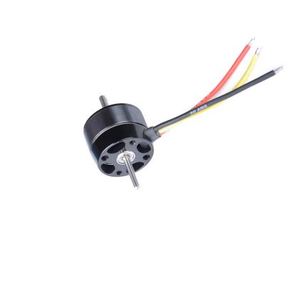 China Good quality high specification totally enclosed torque 12v 24v 36v 48v 100w 200w 300w 400w 500w 1000W DC brushless motor for sale