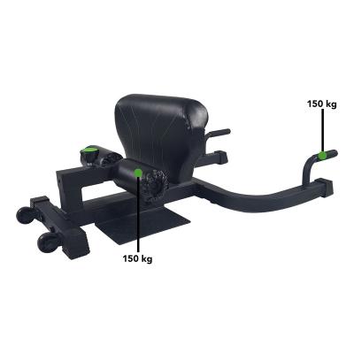 China Commercial Exercise Adjustable Sissy Squat Modern Professional Fitness Sit Up Leg Home Gym Bench Machine for sale