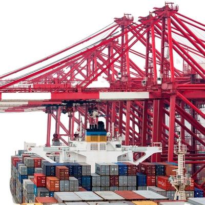 China DDP ocean special discount shipments to portugal with economy sea freight forwarding price in China hot top professional shipper for sale