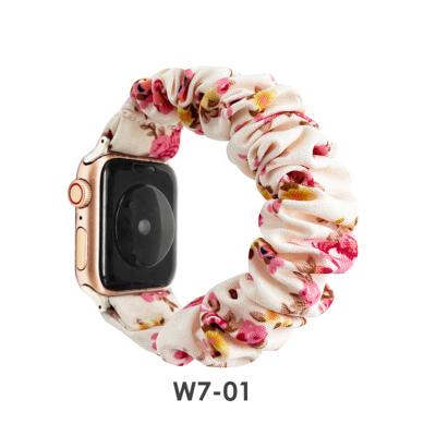 China Polyester Easy Ladies Watch Band Women Replacement Watch Straps Girl Bracelet For Apple Watch for sale