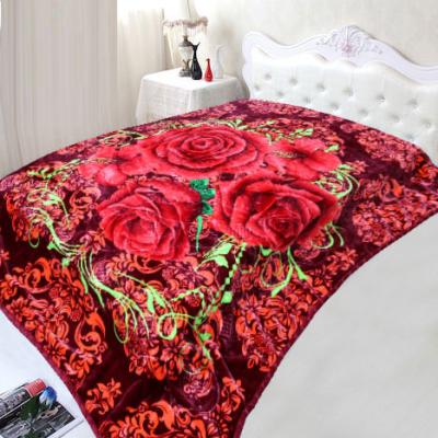 China Anti-pilling wholesale cloud two ply printing double side throw relief cover for sale