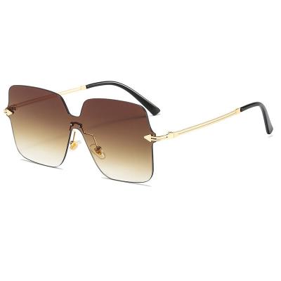 China Wholesale Square Unique Ladies Sunglasses 8780 for sale