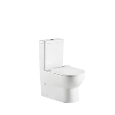 China Professional Newest Double Flush Double Flush Sanitary Ware Two Piece Toilet Toilet for sale