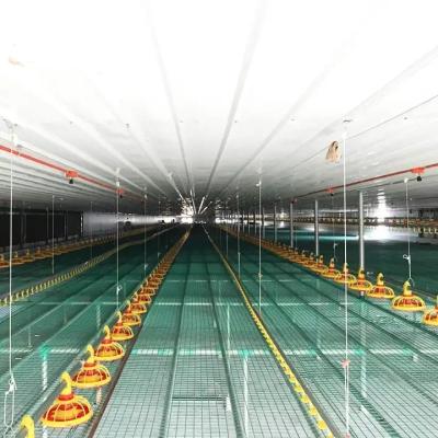 China Wasserdichter automatischer Geflügelfarm-Ausrüstungs-Hühnerhaus-Zufuhr-Trinker-ganzer Satz zu verkaufen