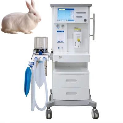 China Hot Selling Portable Animal Veterinary Anesthesia Machine For Veterinary Clinic DM6A DM6A for sale