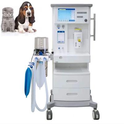 China Animal Insemination Superstar Medical Veterinary Anesthesia Machine for Hospital and Clinic for sale