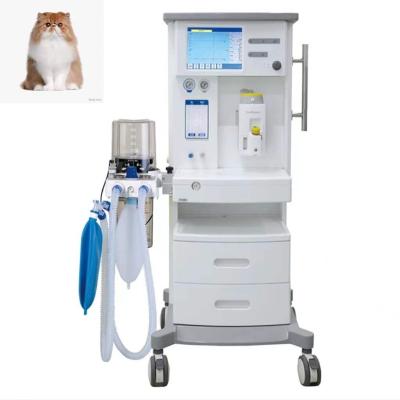 China Portable veterinary anesthesia machine with good quality and low price DM6A for sale