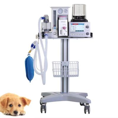 China Medical Veterinary Anesthesia Machine Veterinary Anesthesia Machine Small Animal Anesthesia Machine DM6B for sale