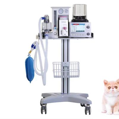 China Pet hospital mobile anesthesia machine veterinary anesthesia machine gas anesthesia vet DM6B for sale