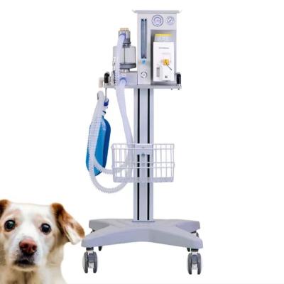 China Portable Medical Anesthesia Veterinary Anesthesia Machine DM6C for sale