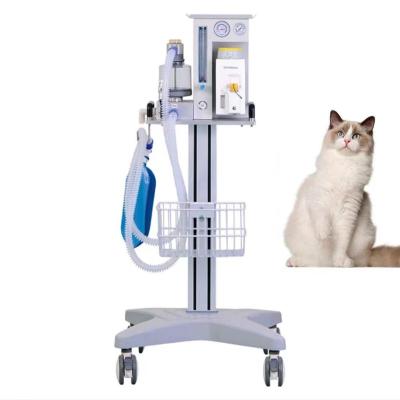 China Portable Veterinary Anesthesia Machine Dog Cat Medical Anesthesia Apparatus Vet Equipment DM6C for sale