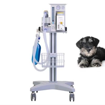 China Economic Anesthesia Veterinary Anesthesia Machine Veterinary Anesthesia Machine Veterinary Anesthesia Machine DM6C for sale