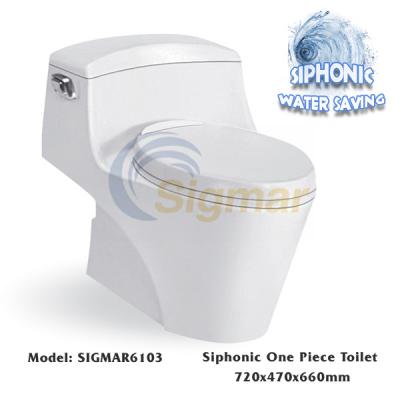 China SIGMAR6103 Dual Flush Porcelain Toilet Bathroom Ceramic Siphonic Toilet for sale