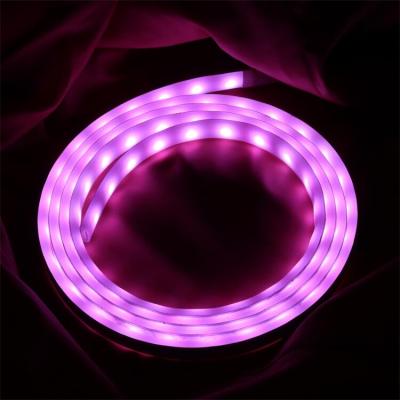 China Residential New Arrive Amazon Led Music Light Strip Set Smart App WiFi Control 5050 RGB Colorful Light Strip for sale