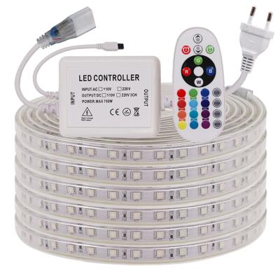 China High Quality AC110v 220v Theme Park Led Strip Light 50m/roll 100m/roll Waterproof Color Changing RGB 1m/cut 100m/roll Smart ip67 For Outdoor for sale