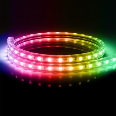 China Residential AC230V Led Strip Lights 5m-20m RGB 5050 Color Changing Bellies for sale