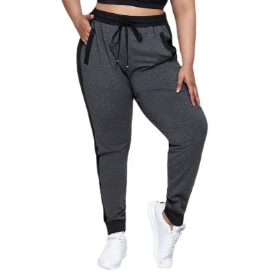 China Different Color Breathable Plus Size Joggers Yoga Sports Plus Size Jogger Pants Exercise Women Sports Joggers for sale