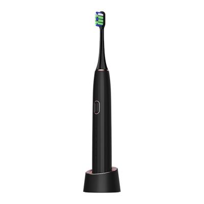 China Portable Ipx7 Sonic Household Adult Electric Tooth Brush Electronic Toothbrush for sale