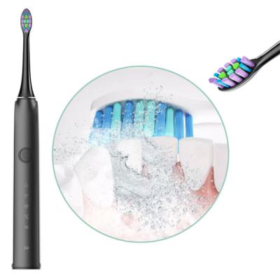 China Automatic Timing Adult Electric Toothbrush IPX7 Sonic Teeth Whitening Electric Toothbrush for sale