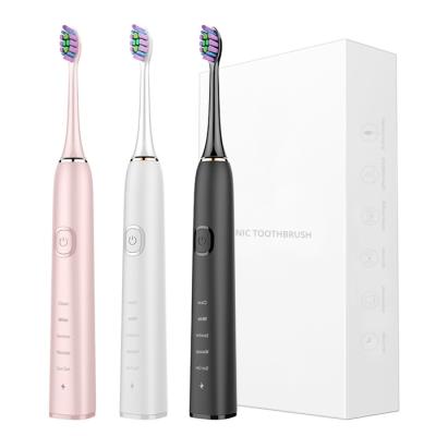 China IPX7 Sonic Toothbrush 4 Hrs Charge Long Lasting Portable Electric Toothbrush SN903 for sale