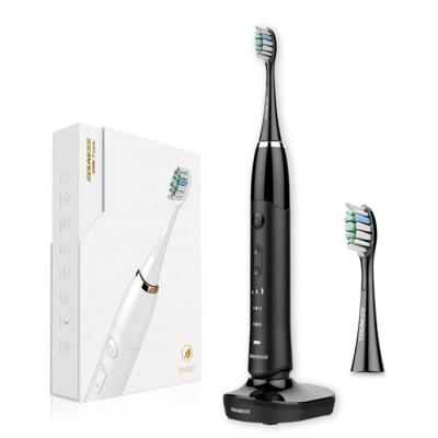 China Oral Hygiene Portable Adult Electric Toothbrush 5 Hrs Charge Lasts 30 Days for sale