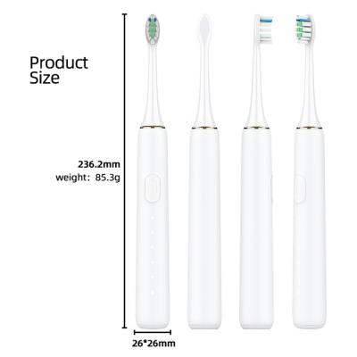 China 5 Modes Dupont Bristle Adult Sonic Toothbrush Wireless Electric Toothbrush BS63 for sale