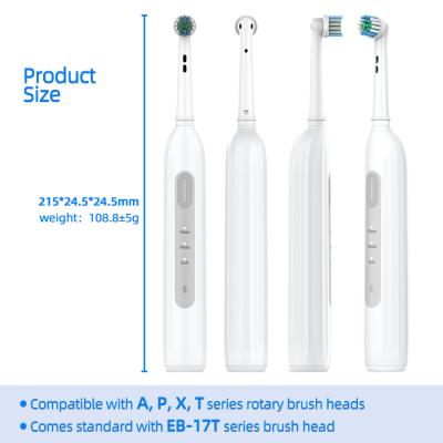 중국 중형 브리슬 전기 둥근 머리 치아 브러쉬 소닉 스핀 치아 브러쉬 USB 충전 판매용