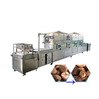 China Medicine Processing Industrial Conveyor Belt Type Mushroom Microwave Oven For Drying And Sterilizing for sale