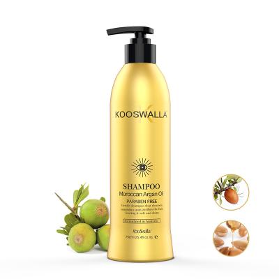 China Natural freshing re shampoo Anti-itching Morocco argan oil plant extraction argan shampoo hair shampoo hair shampoo for sale