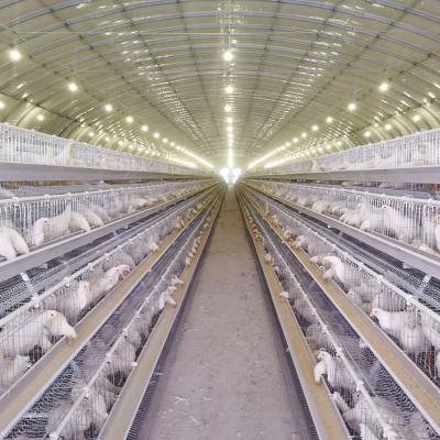 China Increase egg production chicken cage factory design layer cage for chicken farm/cheap price layer chicken cage for Sri Lanka for sale