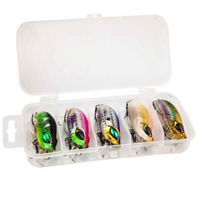 China Lure Fishing Set New 5pcs Mini 6cm 8.4g Fishing Lure Set Kit With Box Hard Baits Wobblers Lures Artificial Carp Sinking Fishing Tackle for sale