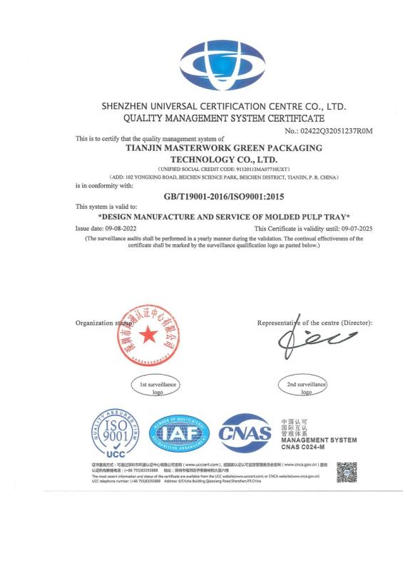 ISO9001 - Tianjin Masterwork Green Packaging Technology Co., Ltd.