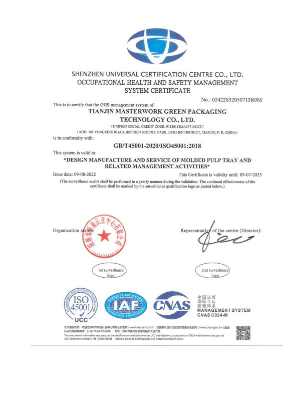 ISO 45001 - Tianjin Masterwork Green Packaging Technology Co., Ltd.