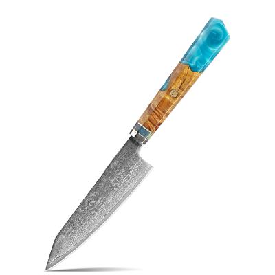 China Viable Factory Directly Supply Damascus Knife Pocket New Design Super Sharp Kitchen Knives 5 Inch Japanese Super Steel Serving Knife for sale