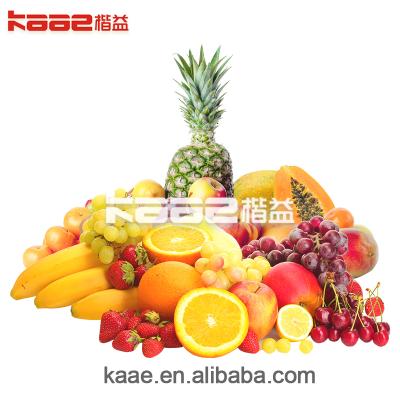 China High Efficiency Easy Operate Tropical Fruit Pulp Processing Line Comes With Automatic Cleaning System for sale