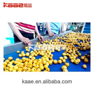 China Industrial automatic factory project turnkey loquat juicing processing line produced by kaae.china for sale