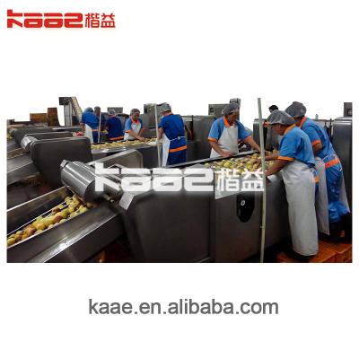 China Factory Project Industrial Automatic Turnkey Peach And Plum Concentrate Pulp/Juice Processing Line produced by kaae.china for sale