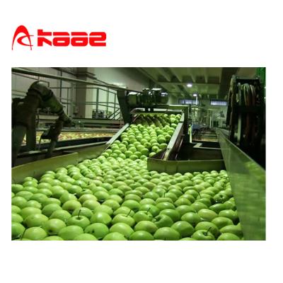 China Manufacturing Equipment SUS304 Pear Juice Processing Production Line for sale