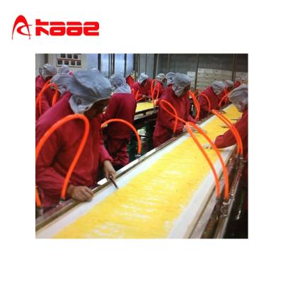 China Factory citrus / orange / lemon processing line bags for sale