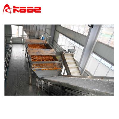 China Turnkey Factory Project Industrial Orange Juice Plant for sale