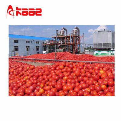 China SUS 304 Hot Sale Tomato Sauce / Sauce / Jam / Ketchup Production Line for sale