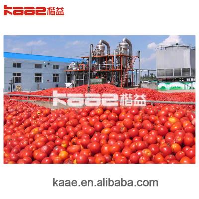 China Project Hotels Turnkey Automatic Tomato Sauce Ketchup Sauce Processing Line for sale