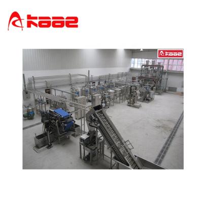 China SUS304 Industrial Apple Juice Processing Machine for sale