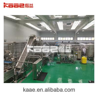 China Fruit Factory Hot Sale Multi-variety Juice Processing Line by kaae.china for sale