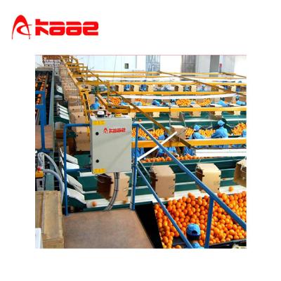 China Apple Automatic Industrial Sorting Grading Machine for sale