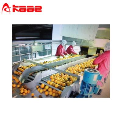 China Fruits And Vegetables Sorting Grading Hot Sale Sorting Roller Conveyor / Sorter / Roller Sorter for sale